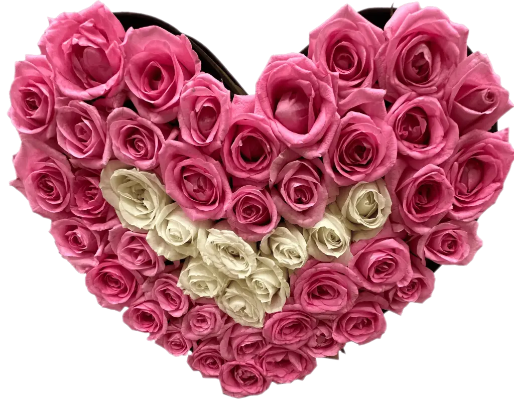 Rose & More