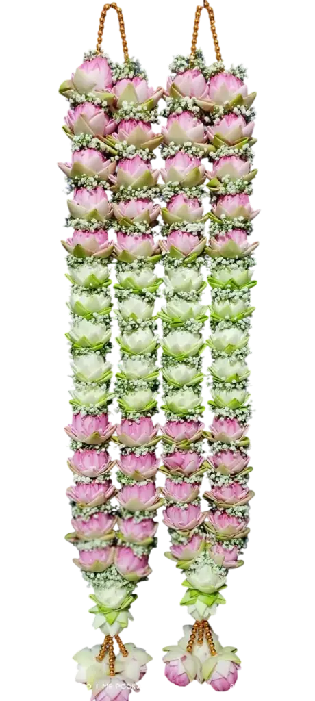 Lotus Veil