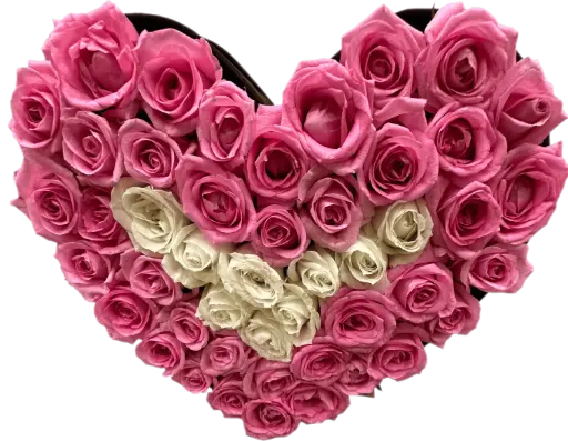 Rose & More