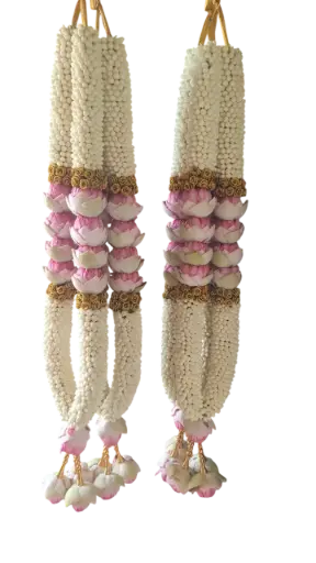 Lotus Aura