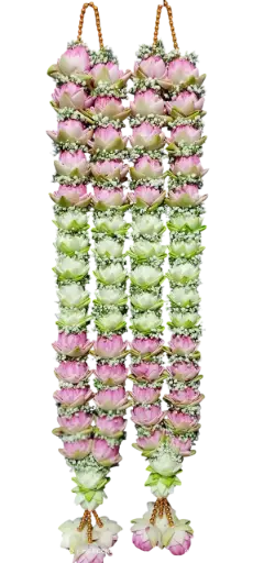 Lotus Veil