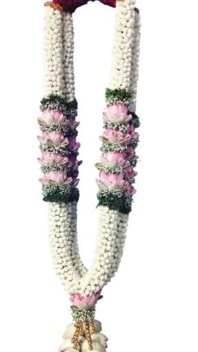 Tranquil Bloom